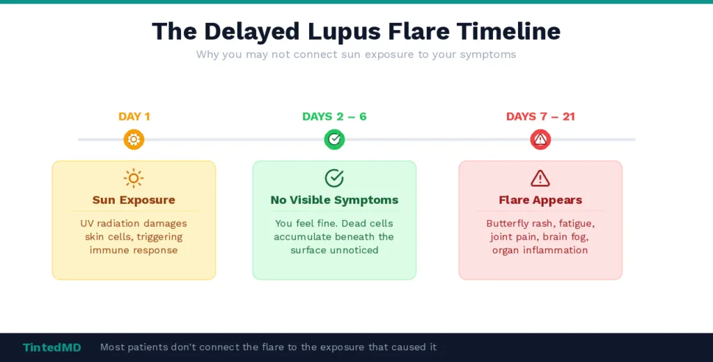 image 2 flare timeline